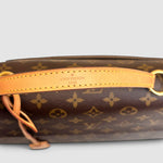 Louis Vuitton Cluny — Monogram